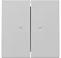 Wippe 2fach mit Kontrollfenster System 55 grau matt (3631015)