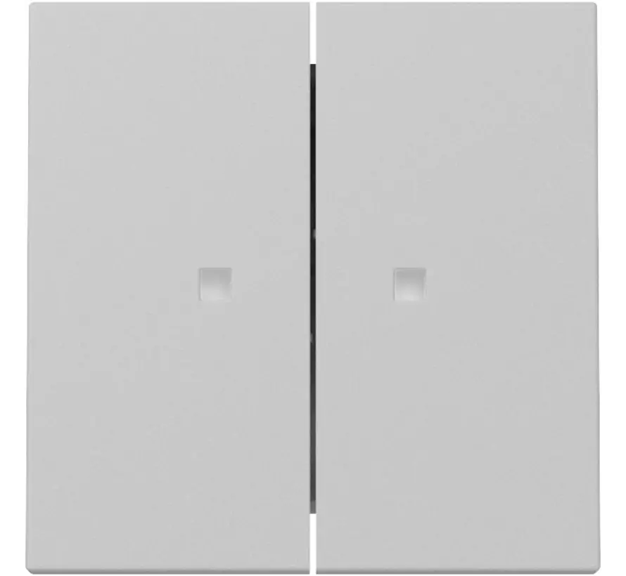 Wippe 2fach mit Kontrollfenster System 55 grau matt (3631015)