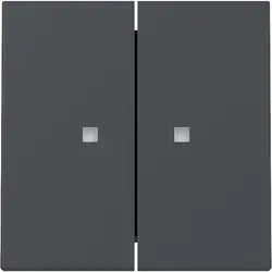 Gira Wippe 2fach mit Kontrollfenster System 55 anthrazit matt (363128)
