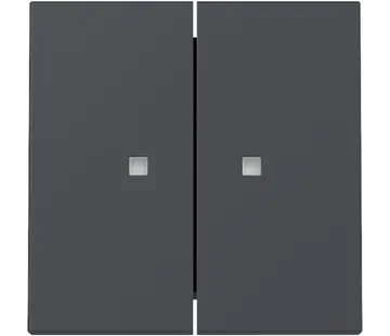 Gira Wippe 2fach mit Kontrollfenster System 55 anthrazit matt (363128)