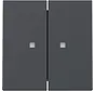 Wippe 2fach mit Kontrollfenster System 55 anthrazit matt (363128)