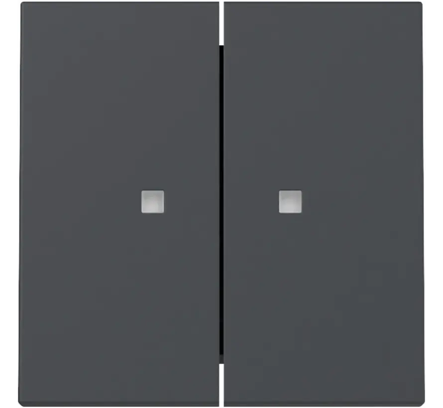 Wippe 2fach mit Kontrollfenster System 55 anthrazit matt (363128)