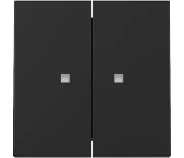 Gira Wippe 2fach mit Kontrollfenster System 55 schwarz matt (3631005)