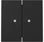 Wippe 2fach mit Kontrollfenster System 55 schwarz matt (3631005)
