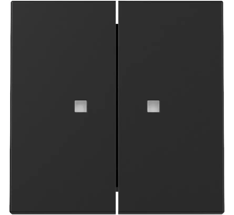 Wippe 2fach mit Kontrollfenster System 55 schwarz matt (3631005)
