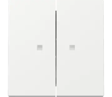 Gira Wippe 2fach mit Kontrollfenster System 55 weiß glänzend (363103)