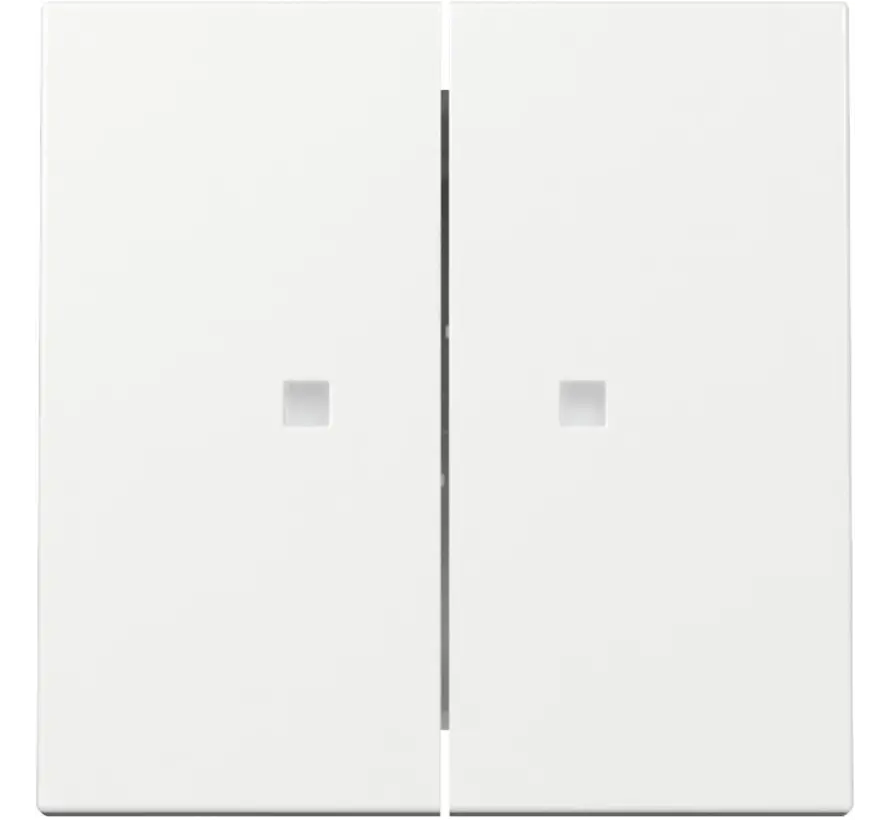 Wippe 2fach mit Kontrollfenster System 55 weiß glänzend (363103)