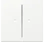 Wippe 2fach mit Kontrollfenster System 55 weiß matt (363127)