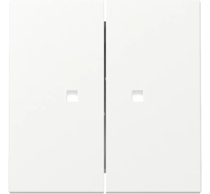 Wippe 2fach mit Kontrollfenster System 55 weiß matt (363127)