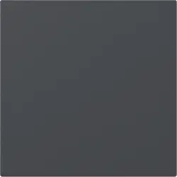 Gira Wippe gerade stehend System 55 anthrazit matt (349628)