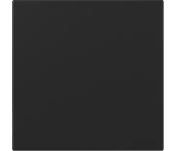 Gira Wippe gerade stehend System 55 schwarz matt (3496005)
