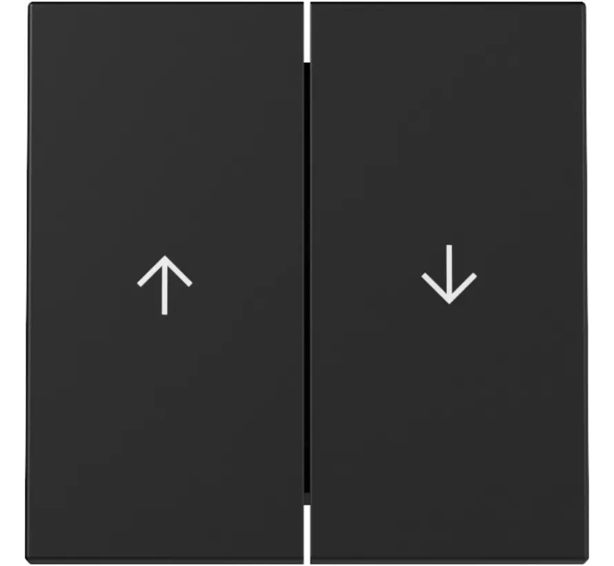 Wippe Jalousieschalter 2fach System 55 schwarz matt (3294005)