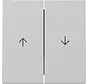 Wippe Jalousieschalter 2fach System 55 grau matt (3294015)