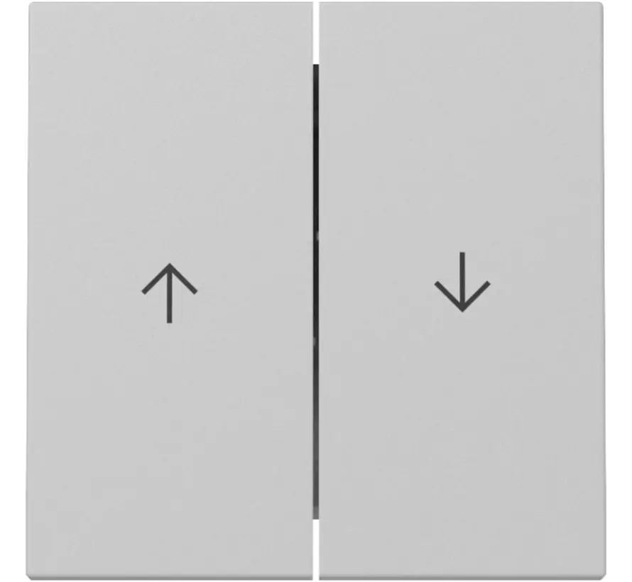 Wippe Jalousieschalter 2fach System 55 grau matt (3294015)
