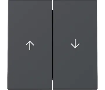 Gira Wippe Jalousieschalter 2fach System 55 anthrazit matt (329428)