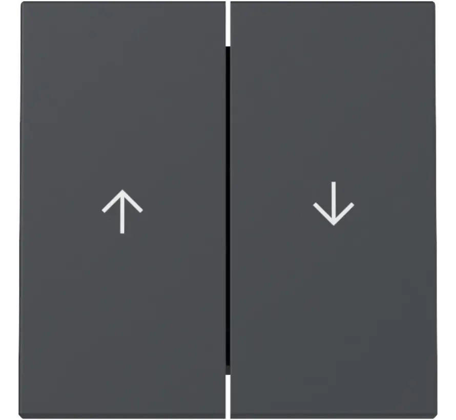 Wippe Jalousieschalter 2fach System 55 anthrazit matt (329428)