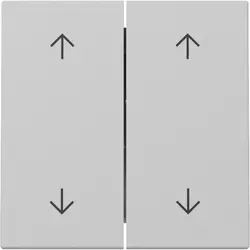 Gira Wippe Jalousieschalter 4-fach System 55 grau matt (3297015)