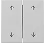 Wippe Jalousieschalter 4-fach System 55 grau matt (3297015)