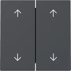 Gira Wippe Jalousieschalter 4-fach System 55 anthrazit matt (329728)