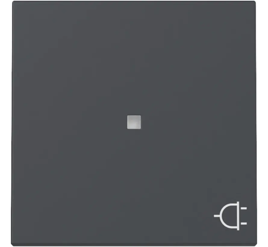 Wippe mit Symbol Stecker und Kontrollfenster System 55 anthrazit matt (329128)