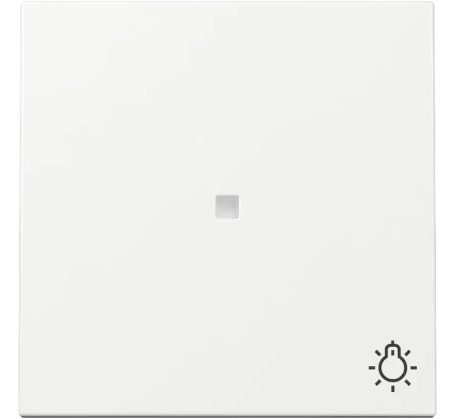 Wippe mit Symbol Licht und Kontrollfenster System 55 weiß glänzend (367403)