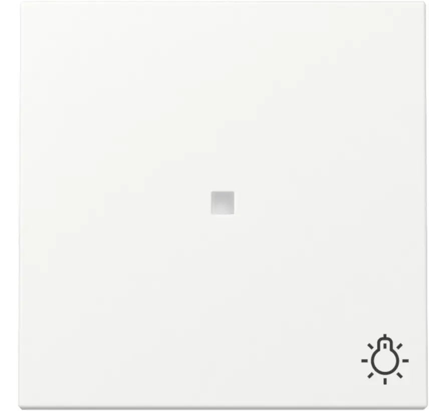 Wippe mit Symbol Licht und Kontrollfenster System 55 weiß matt (367427)