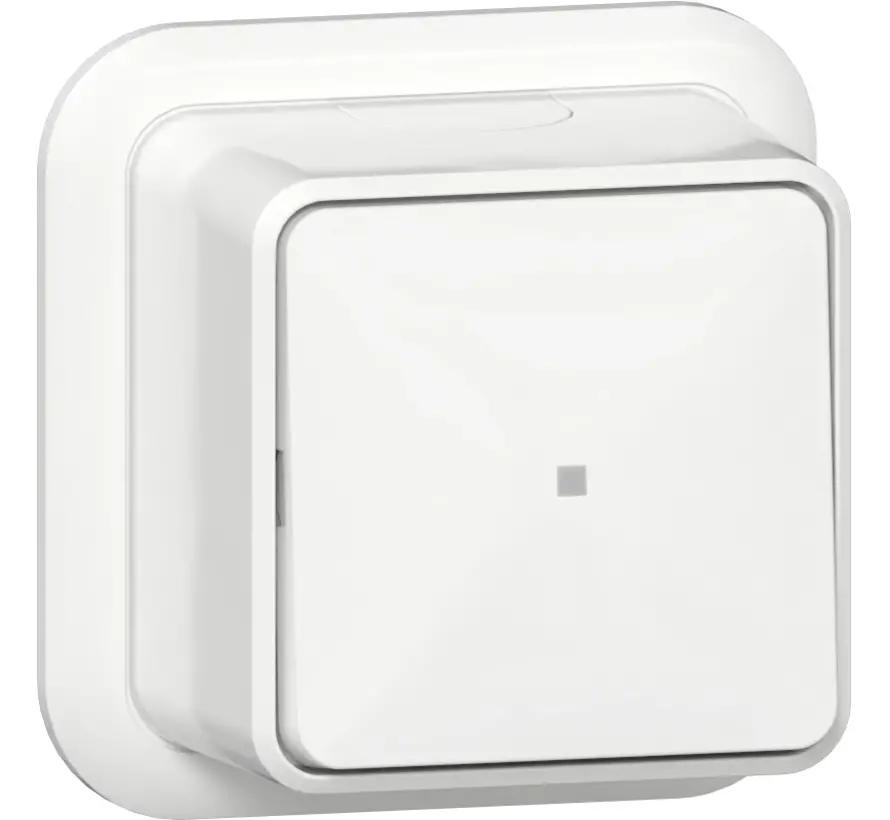 Taster schließer 1-polig mit separat meldekontakt Aufputz weiß (315211)