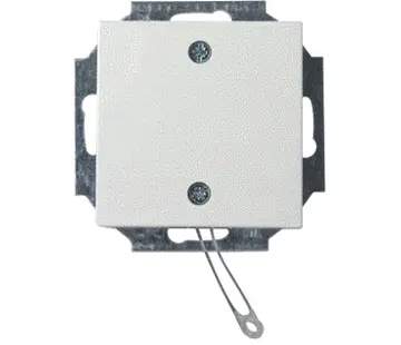 Busch-Jaeger Zugschalter Wechsel mit Zentralplatte einbau Balance SI (2610/6 UC-914-503 MU)