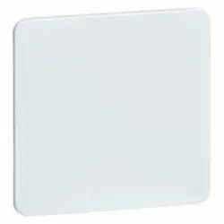 PEHA Blindverschluss-Zentralplatte Standard creme (D 80.677 W)