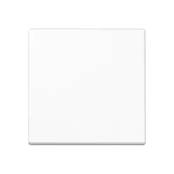 JUNG Dimmerbedienaufsatz Tastdimmer 1-fach A-range alpinweiß (A 1700 BF WW)