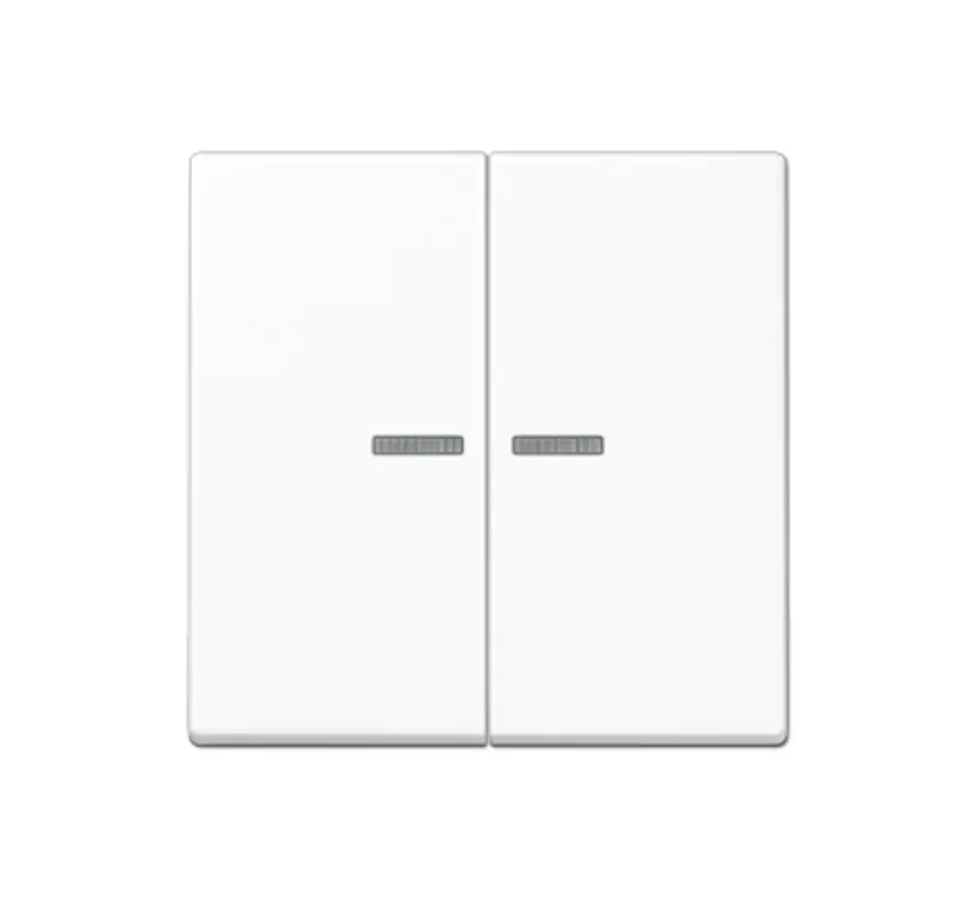 Wippe 2-fach mit Kontrollfenster A-range alpinweiß (A 595 KO5 WW)