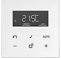 Bedienelement mit Display für Raumthermostat LS990 alpinweiß (LS 1790 D WW)