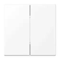 JUNG Friends of Hue Funk-Wandsender 4-Kanal LS990 schneeweiß matt (FOH LS 995 WWM)