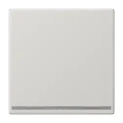 JUNG LED-Orientierungsleuchte LS990 hellgrau (LS 1539-OO LG LNW)