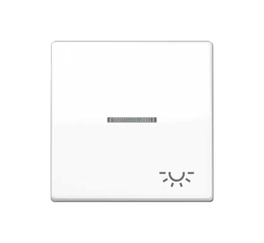 Wippe symbol Licht Kontrollfenster AS500 alpinweiß (AS 591 KO5L WW)