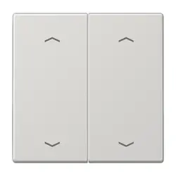 JUNG Wippe 2-fach mit pfeilsymbole LS990 hellgrau (LS 995 MP LG)