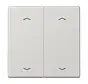 Wippe 2-fach mit pfeilsymbole LS990 hellgrau (LS 995 MP LG)