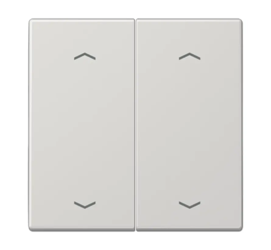 Wippe 2-fach mit pfeilsymbole LS990 hellgrau (LS 995 MP LG)