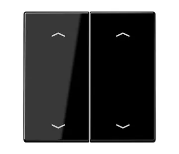 JUNG Wippe 2-fach mit pfeilsymbole LS990 schwarz glänzend (LS 995 MP SW)