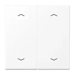 JUNG Wippe 2-fach mit pfeilsymbole LS990 schneeweiß matt (LS 995 MP WWM)