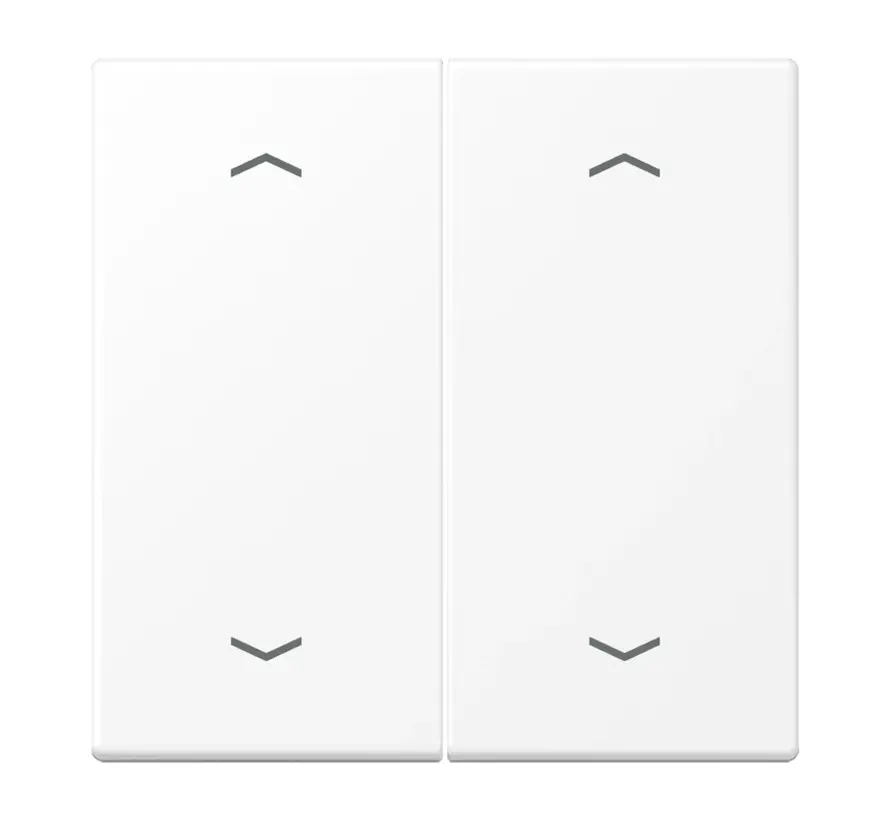 Wippe 2-fach mit pfeilsymbole LS990 schneeweiß matt (LS 995 MP WWM)