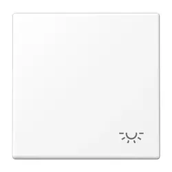 JUNG Wippe symbol Licht LS990 schneeweiß matt (LS 990 L WWM)