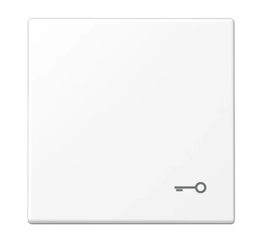 Wippe symbol Schlüssel LS990 schneeweiß matt (LS 990 T WWM)