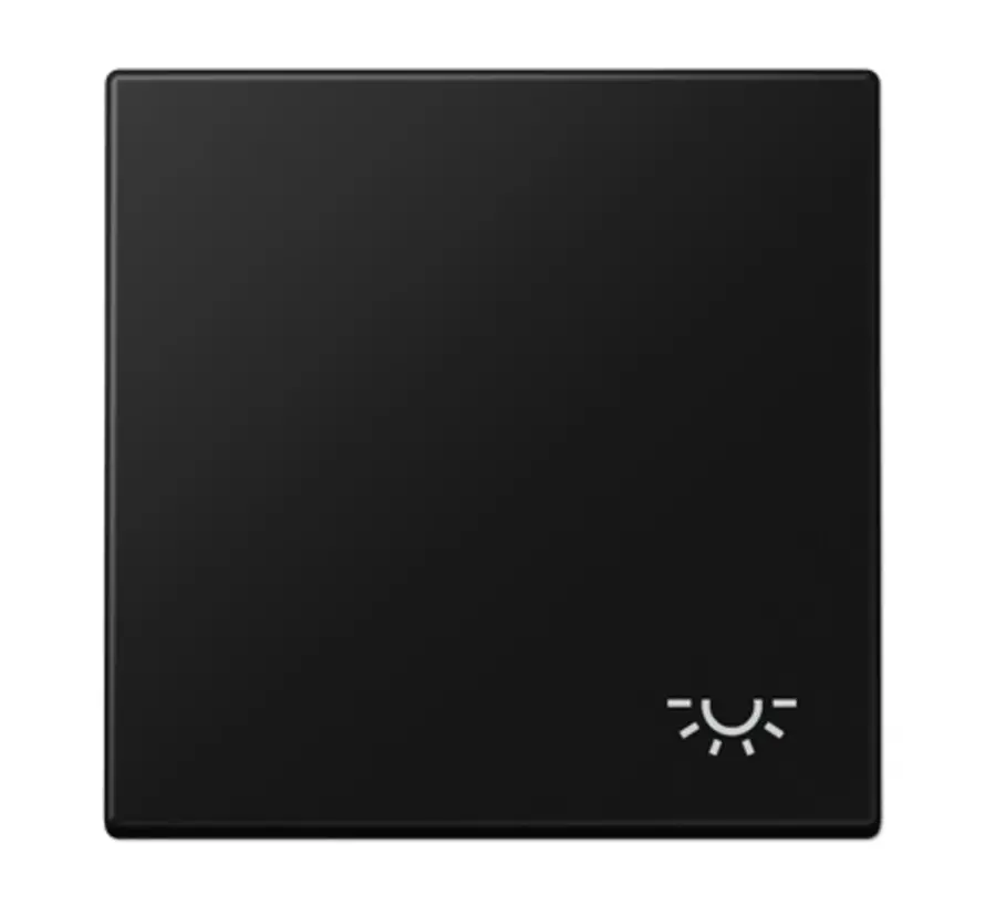 Wippe symbol Licht LS990 graphitschwarz matt (LS 990 L SWM)