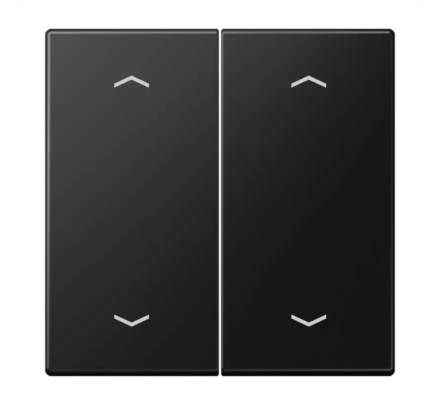 Wippe 2-fach mit pfeilsymbole LS990 graphitschwarz matt (LS 995 MP SWM)