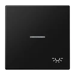 JUNG Wippe symbol Licht Kontrollfenster LS990 graphitschwarz matt (LS 990 KO5 L SWM)