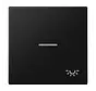 Wippe symbol Licht Kontrollfenster LS990 graphitschwarz matt (LS 990 KO5 L SWM)