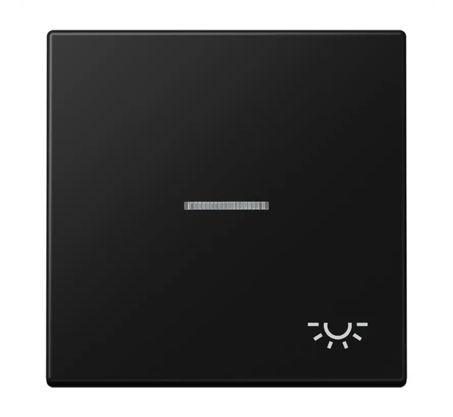 Wippe symbol Licht Kontrollfenster LS990 graphitschwarz matt (LS 990 KO5 L SWM)