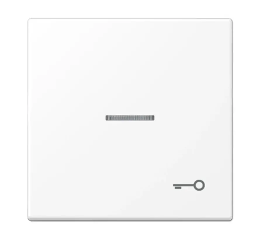 Wippe symbol Schlüssel Kontrollfenster LS990 schneeweiß matt (LS 990 KO5 T WWM)