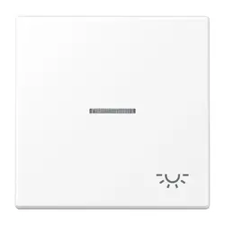 JUNG Wippe symbol Licht Kontrollfenster LS990 schneeweiß matt (LS 990 KO5 L WWM)